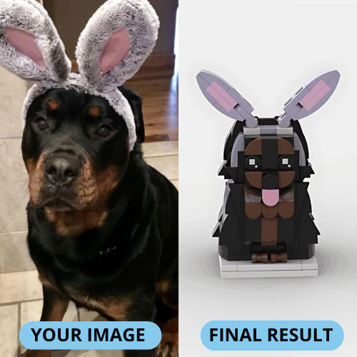 brickpet