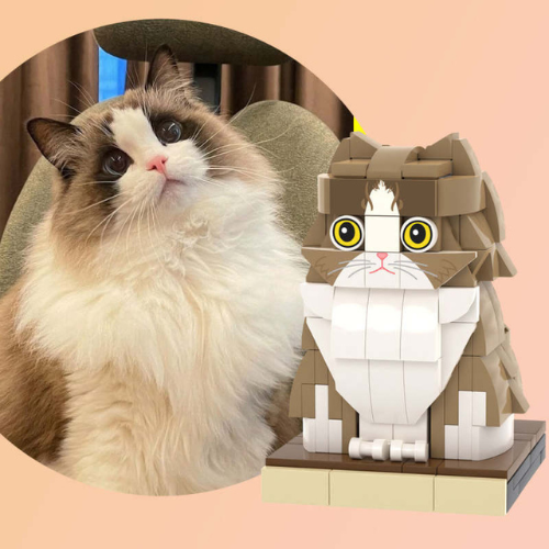 brickpet